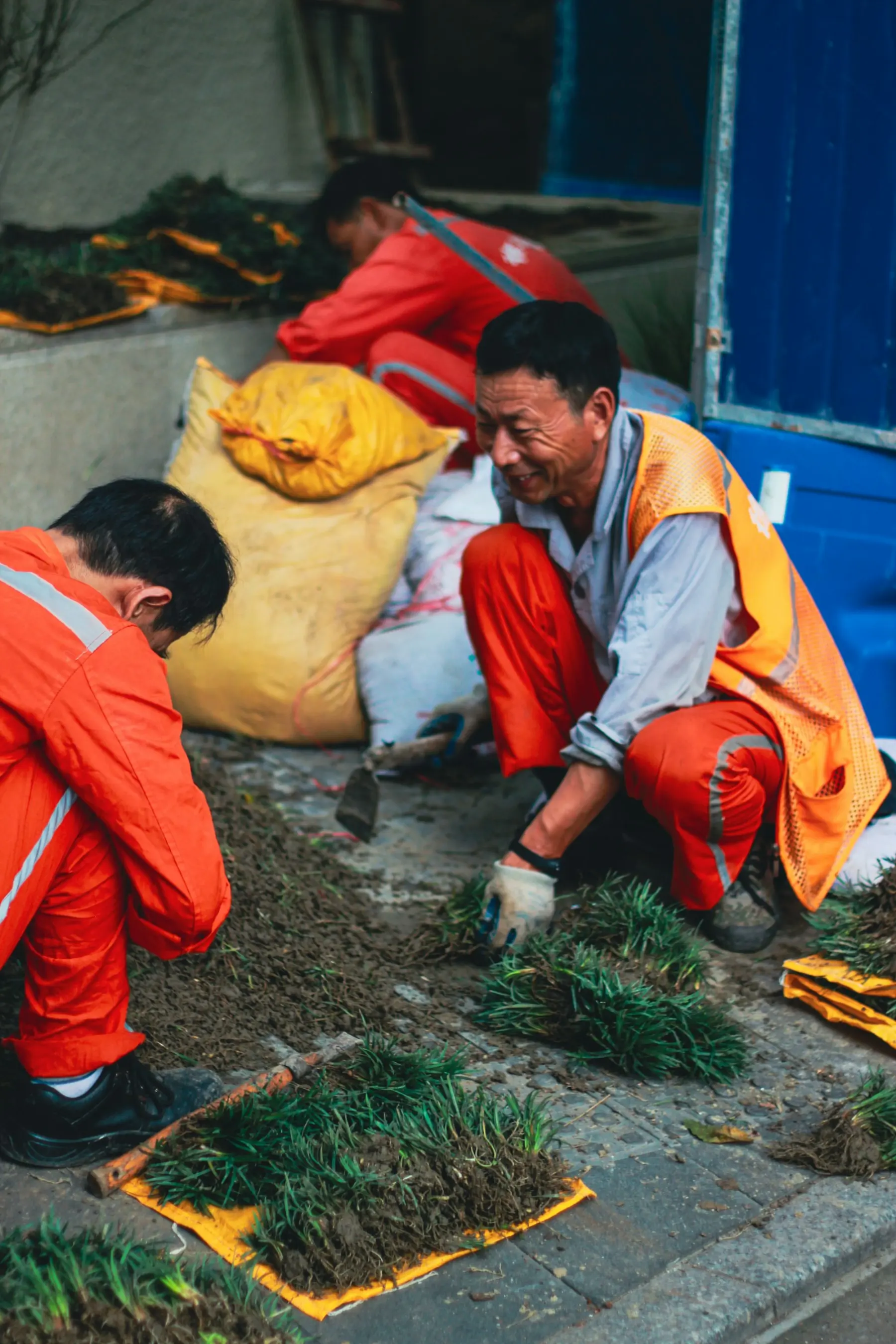 Arbeiter beim Rollrasen verlegen in Wien